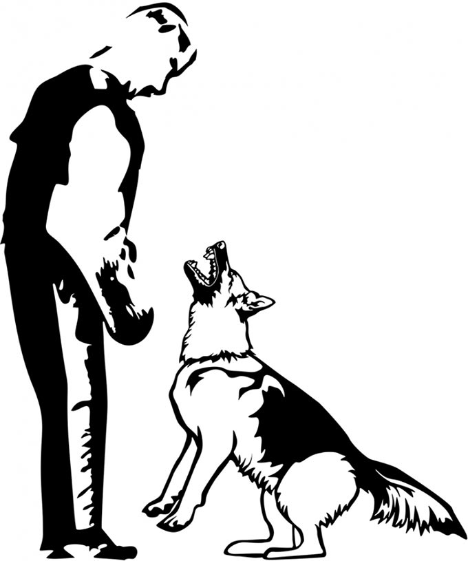 vip dog service pic09