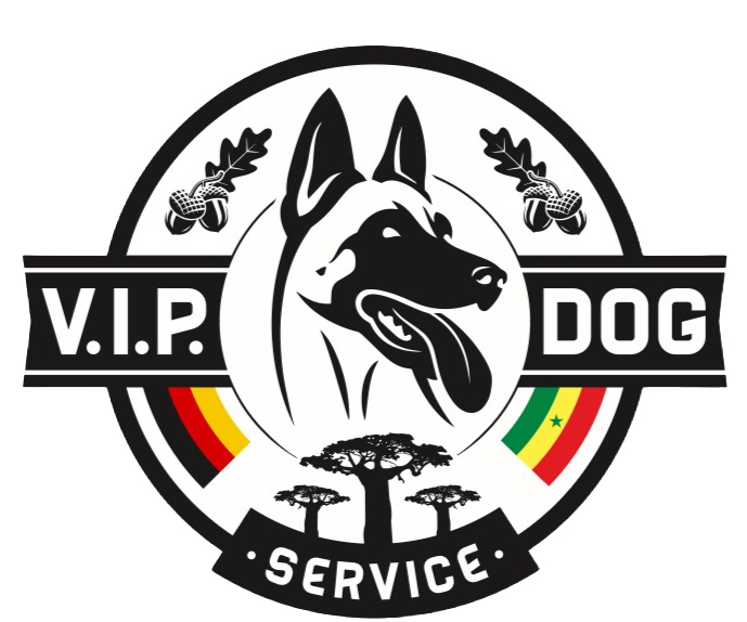 VIP-DOG-SERVICE